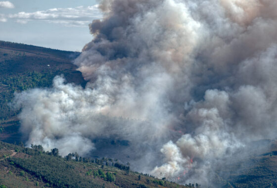 Incendio boschivo in Gironda