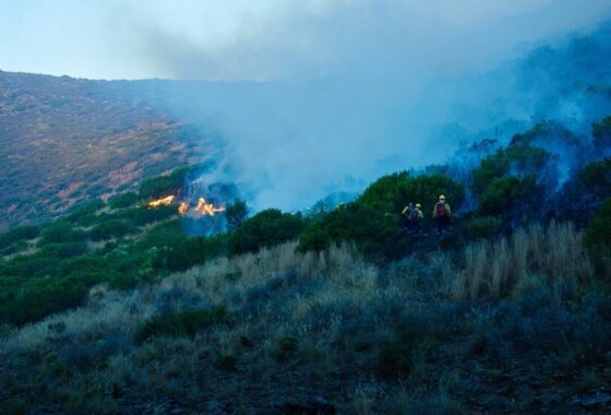 Interventi dei Vigili del Fuoco a Palermo per incendi