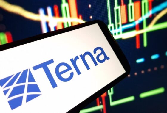 Immagine rappresentativa di Terna e dei suoi investimenti energetici