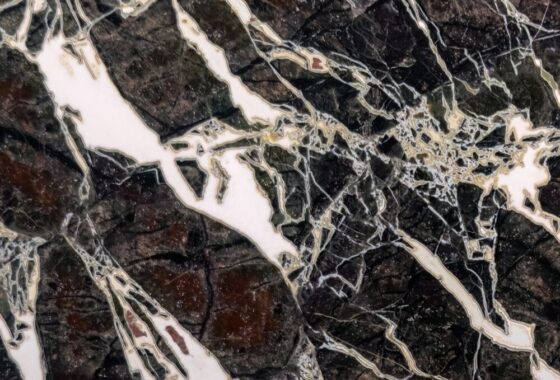 Processo di recupero minerali critici da red mud