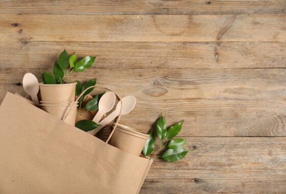 Immagine rappresentativa del packaging sostenibile