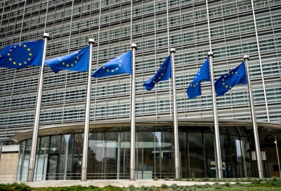 Additivi edili e cartello produttori