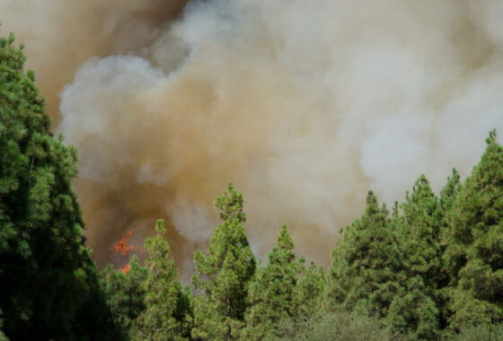 Incendi nella Gironda