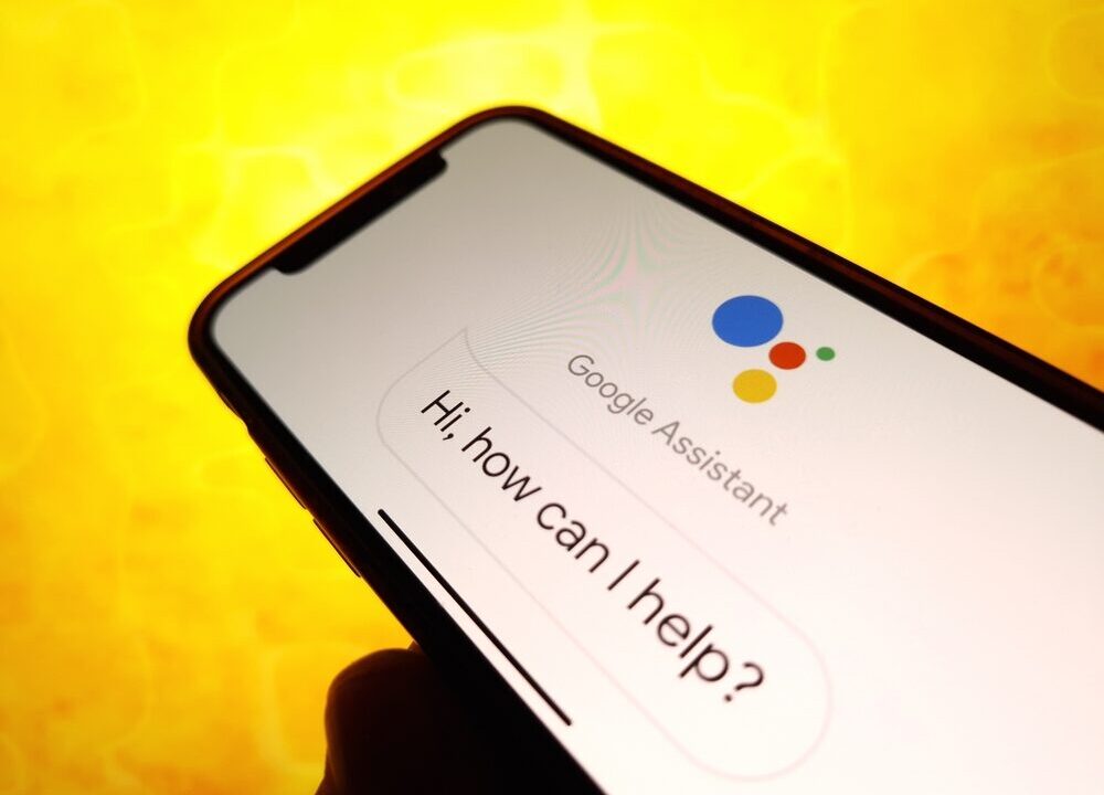 Interruzione di Google Assistant