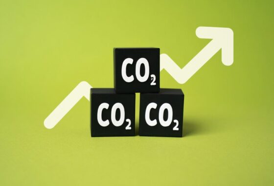 Grafico del mercato delle quote di CO2