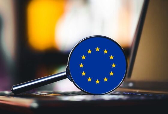 Immagine rappresentativa dell'articolo su EU Inc